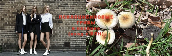 гашик Михайловск