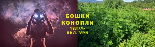 гашик Михайловск