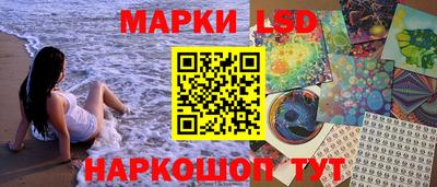 стафф Донской