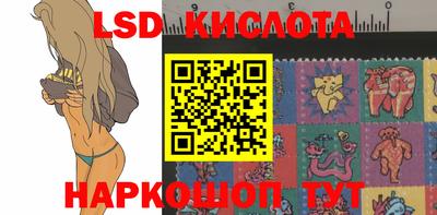 стафф Донской