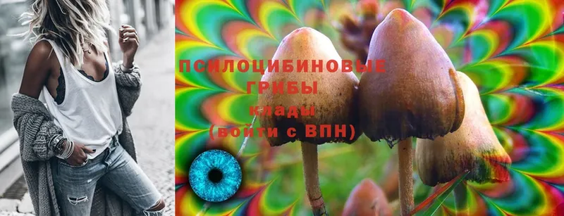 Галлюциногенные грибы Psilocybe  гидра маркетплейс  Куйбышев  дарнет шоп 