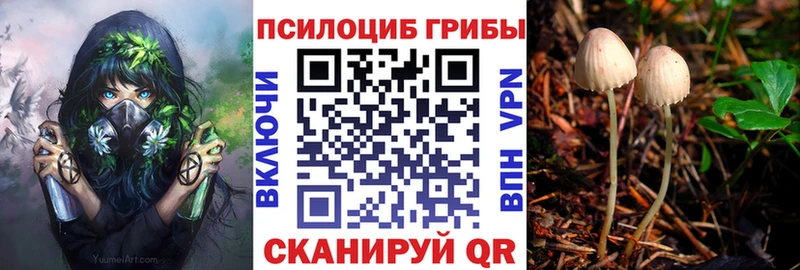 это состав  Куйбышев  Галлюциногенные грибы Cubensis 