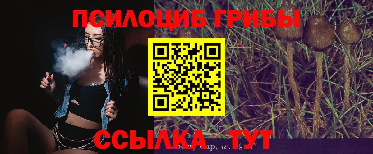 Куйбышев  Галлюциногенные грибы MAGIC MUSHROOMS  Вход с VPN 