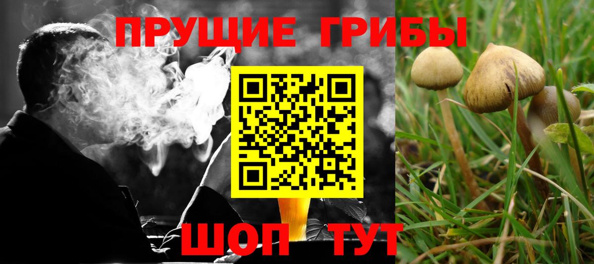 Галлюциногенные грибы прущие грибы Куйбышев